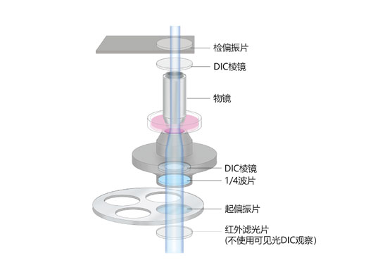 用于成像的Senarmont補償.jpg
