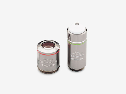 用于測量膜電位的物鏡.jpg