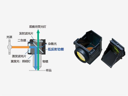 針對熒光優化的反射鏡部件 (1).jpg