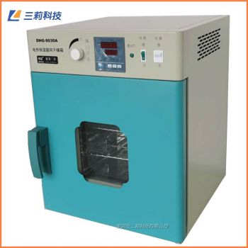 250℃立式電熱鼓風(fēng)干燥箱 DHG-9030A250℃烘箱