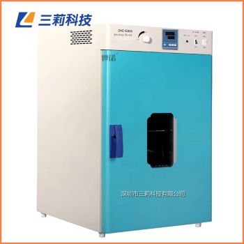 240升300℃恒溫烘箱 DHG-9240B電熱鼓風(fēng)干燥箱