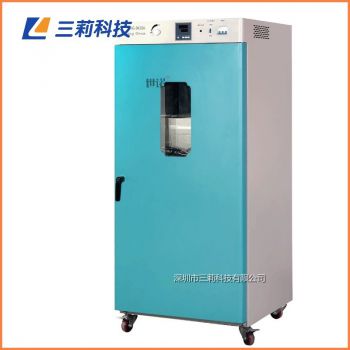 420升300℃立式高溫烘箱 DHG-9420B電熱鼓風(fēng)干燥箱